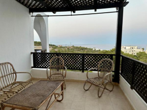 studio in bella vista